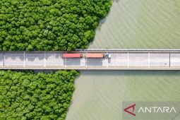 TPS disebut mampu tekan efisiensi logistik komoditas kelapa