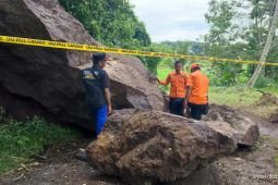 BPBD Jember tangani batu besar longsor di Desa Sukoreno