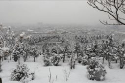 Hujan dan salju lebat tewaskan 61 orang di Afghanistan