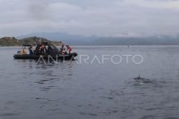 Kedubes Spanyol minta Basarnas lanjut cari korban kapal tenggelam