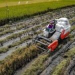 Luas panen dan produksi padi di Indonesia