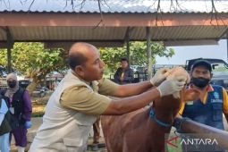 Pemkab Madiun periksa kesehatan ternak guna cegah PMK