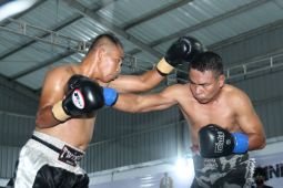 Tinju profesional Danlanal Banyuwangi Cup