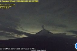 Semeru kembali erupsi dengan tinggi letusan 800 meter
