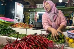 Harga pangan Jumat ini, bawangmerah Rp44.750/kg dan cabai rawit Rp75.550/kg