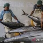 KKP siapkan strategi perluas akses pasar produk perikanan pada 2026