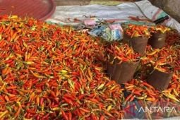 Harga pangan Jumat ini, cabai rawit tembus Rp131.000 per kg jelang Lebaran