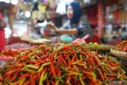 KPPU pantau harga dan pasokan pangan jelang Idul Fitri di Surabaya