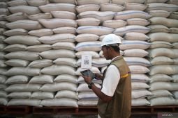 Stok beras nasional stabil