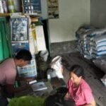 Kios PPTS Tani Makmur Lumajang sebut stok pupuk bersubsidi aman