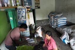 Kios PPTS Tani Makmur Lumajang sebut stok pupuk bersubsidi aman
