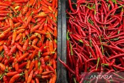 Harga pangan Rabu ini, cabai rawit Rp54.300/kg dan telur ayam Rp31.200/kg