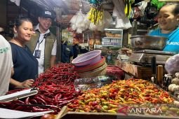 Kamis pagi harga cabai rawit capai Rp66.100/kg, telur ayam Rp32.050/kg