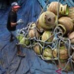 Bahlil alihkan impor LPG dari Timur Tengah ke AS dan Australia