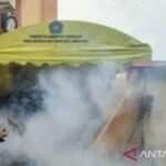 Dinkes Pamekasan temukan 185 warga terjangkit DBD