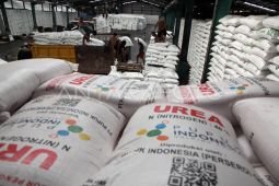 Pasokan pupuk urea aman meski gejolak di Selat Hormuz