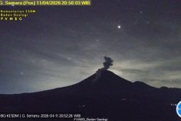 Sabtu malam, Semeru erupsi disertai guguran awan panas sejauh 2,5 km