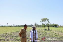 Pemkab Banyuwangi siapkan langkah antisipatif hadapi dampak El Nino