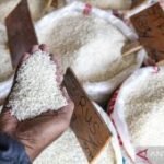 Kepala Bapanas sebut neraca pangan nasional surplus dan aman