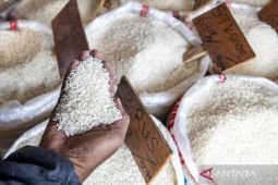 Kepala Bapanas sebut neraca pangan nasional surplus dan aman