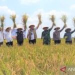 Dirut Bulog targetkan penyerapan 4 juta ton beras 2026 tercapai