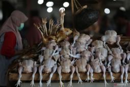 Harga daging ayam capai Rp41.500/kg, cabai rawit Rp83.100/kg