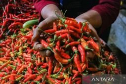 Harga pangan Rabu ini, cabai rawit Rp73.900/kg dan telur ayam Rp30.850/kg