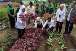 Penguatan pendidikan vokasi sekolah kejuruan di Jatim