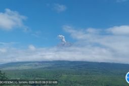 Minggu pagi Semeru erupsi dengan tinggi letusan capai 900 meter