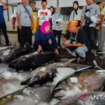 Ketika laut menjadi masa depan