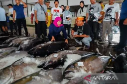 Ketika laut menjadi masa depan