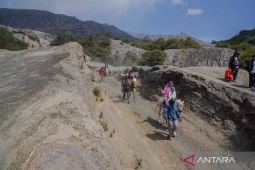 TNBTS: Sebanyak 6.195 wisatawan datangi Bromo selama libur Idul Adha