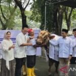 Danareksa dan Baznas bagikan 3.000 paket daging kurban ke warga Surabaya