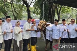 Danareksa dan Baznas bagikan 3.000 paket daging kurban ke warga Surabaya