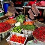 Harga pangan Selasa ini, cabai rawit Rp74.150/kg dan telur ayam Rp30.300/kg