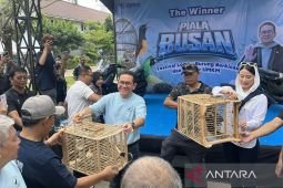Mendag ungkap nilai ekonomi dari ekosistem burung kicau capai Rp2 T