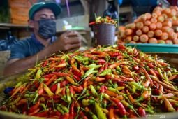 Harga pangan Jumat ini, cabai rawit Rp52.850 per kg dan telur ayam Rp31.450 per kg