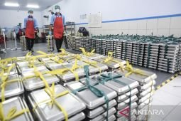 BGN dukung efisiensi anggaran tanpa kurangi nilai manfaat MBG