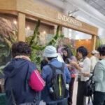 Florikultura RI catat potensi transaksi Rp17 miliar di Korea