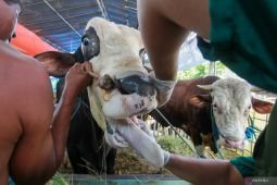 Sinergi Pemkot Surabaya bersama PT Pelindo Terminal Petikemas