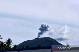 Gunung Ibu erupsi dengan kolom abu setinggi 800 meter
