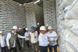 Menteri Pertanian sebut stok beras nasional capai angka tertinggi