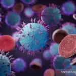 Taipei laporkan satu kasus kematian akibat hantavirus