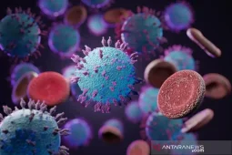 Taipei laporkan satu kasus kematian akibat hantavirus