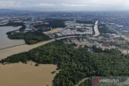 Ministry confirms forestry investment opportunities for carbon trading
