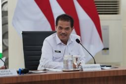 Pemerintah perkuat strategi jaga produksi pangan guna hadapi kemarau