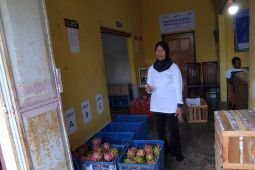 Petani Banyuwangi olah buah naga afkir jadi produk bernilai tambah