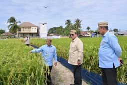 Prabowo targetkan Indonesia jadi lumbung pangan dunia
