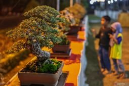 Pameran Grebeg Bonsai Bumi Reog 2026
