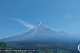 Aktivitas Semeru masih didominasi erupsi dan gempa letusan